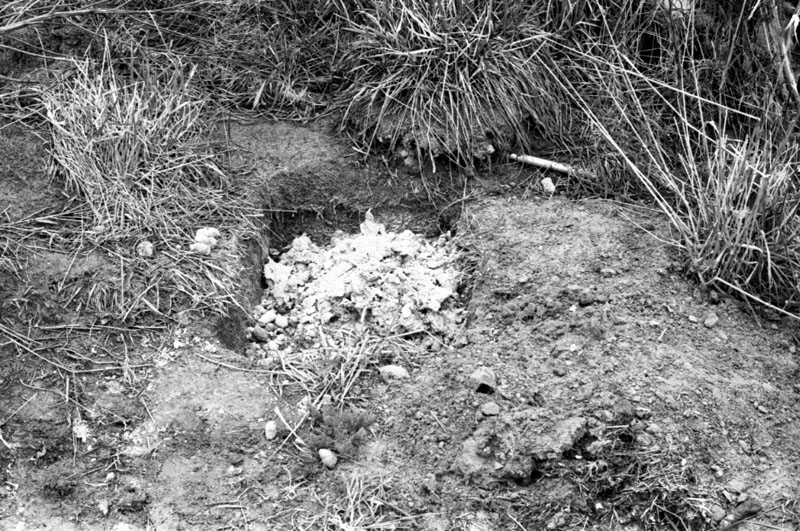 h. No 98 Ruskin Rd-Newlands