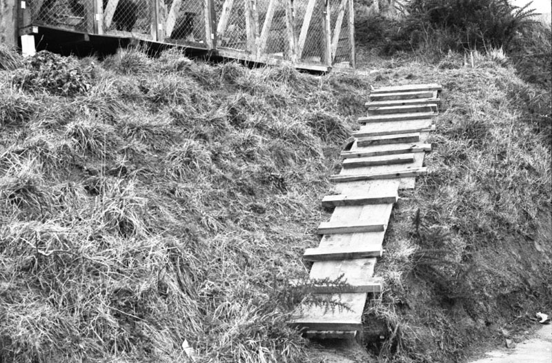 i. No 98 Ruskin Rd-Newlands