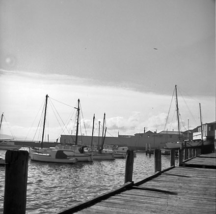 f. Royal Port Nicholson Yacht Club, Oriental Bay