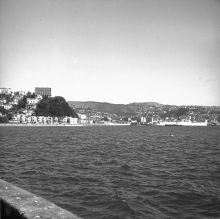 g. Waterfront, Oriental Bay