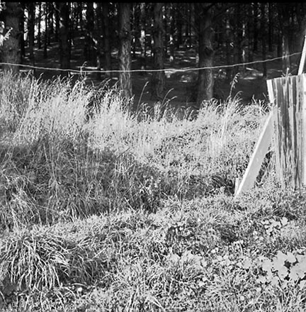 c. Drainage Hay St Reserve