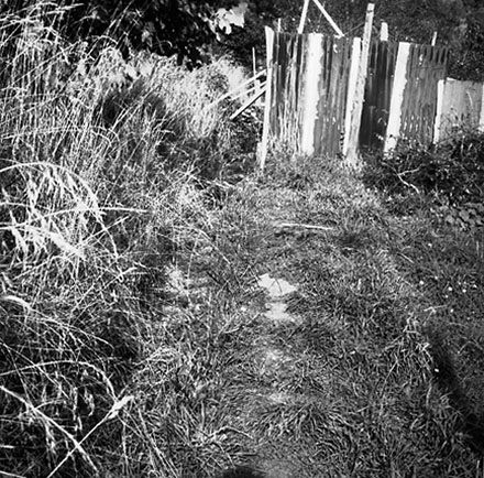 d. Drainage Hay St Reserve