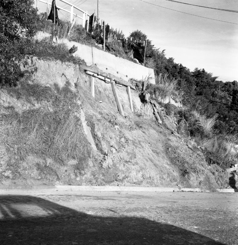 a. No 273 Cockayne Rd, Slip on bank