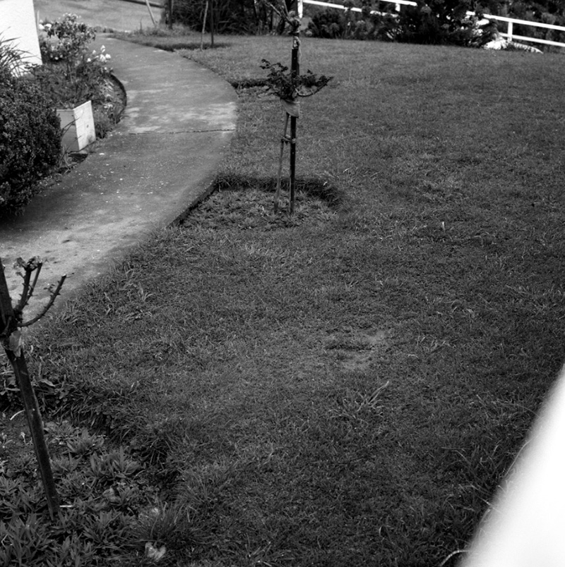 c. Nos 5 and 7 Kellsmere Crescent