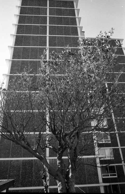 ab. Flats, Herbert Gardens-Dixon St. Civil Defence, Webb St