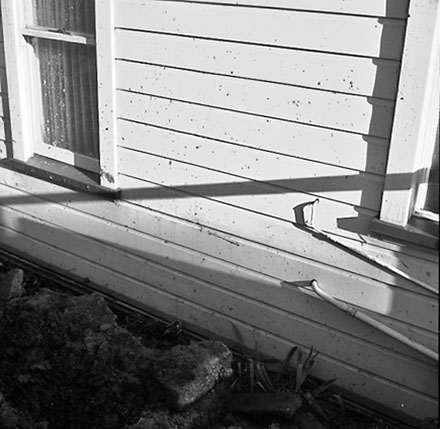c. 139 Elizabeth St