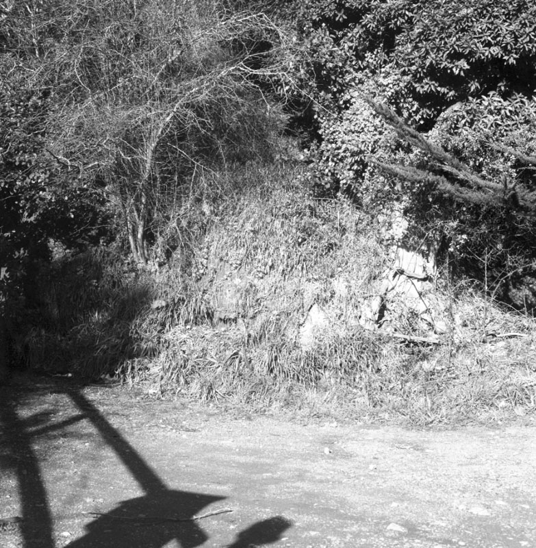 b. No 68 Curtis St, garage and property