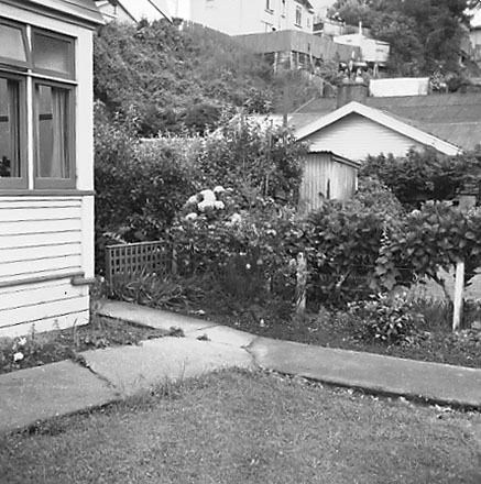 b. Views of wooden dwelling