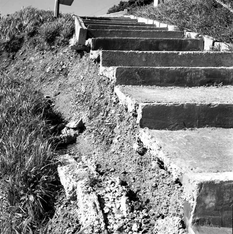 a. Access, No 117 Sefton St