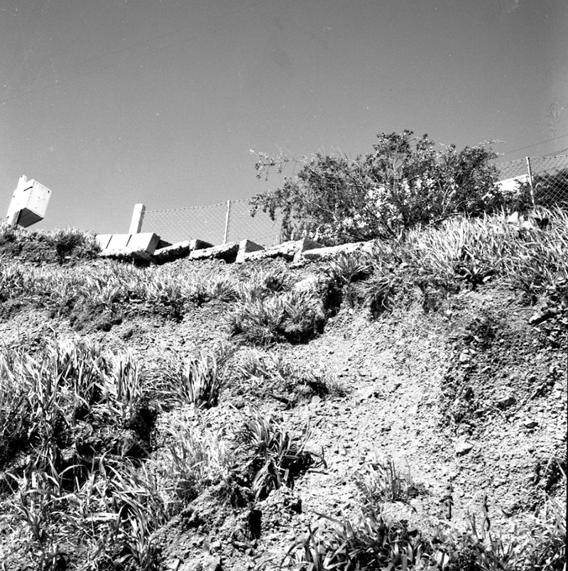 b. Access, No 117 Sefton St