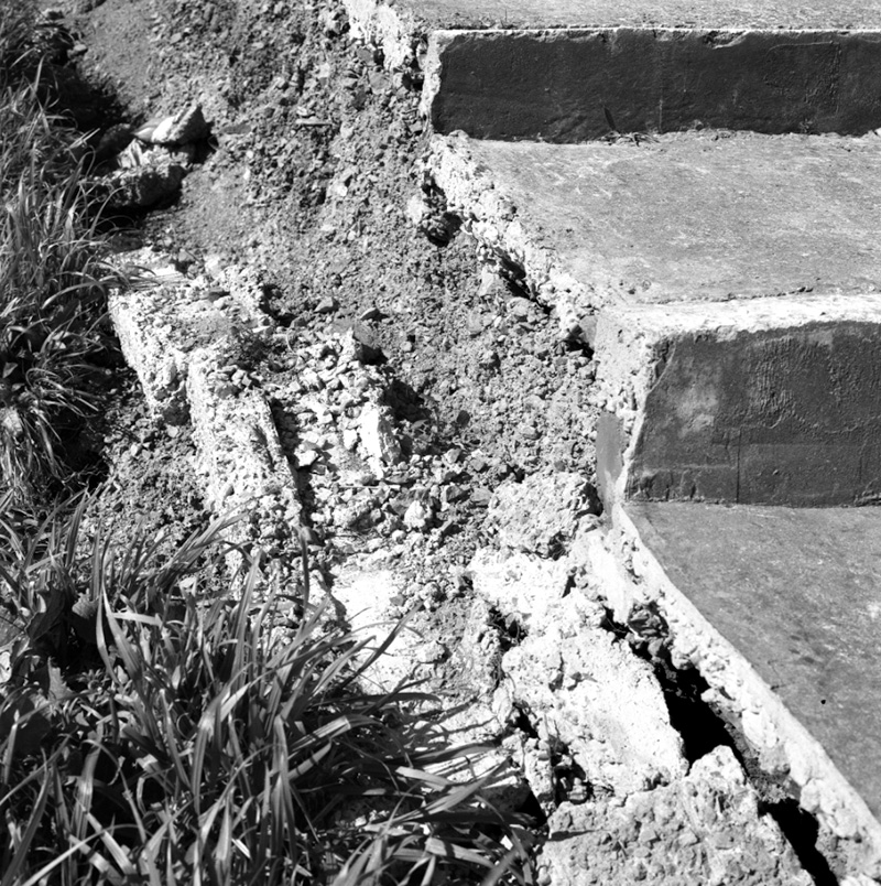 d. Access, No 117 Sefton St