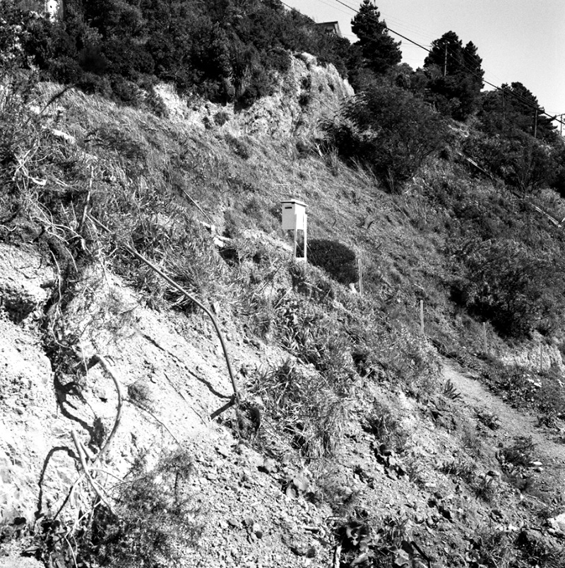 e. Access, No 117 Sefton St