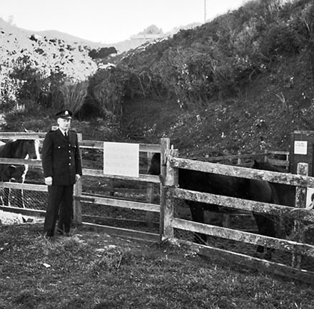 a. Traffic Department