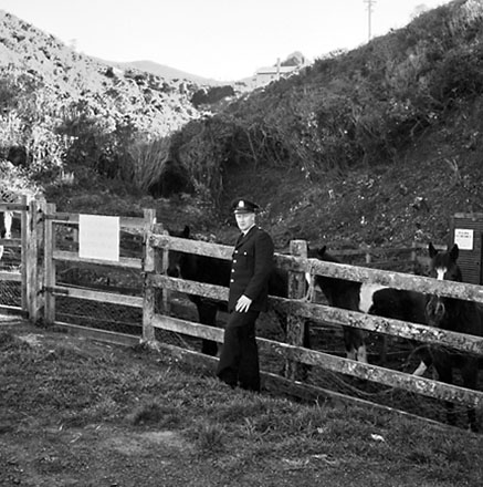 m. Traffic Department