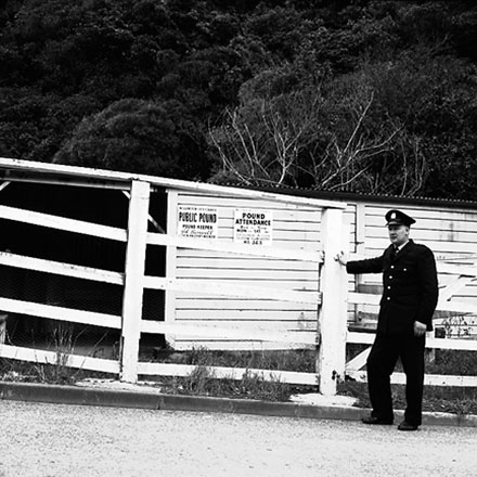 i. Traffic Department