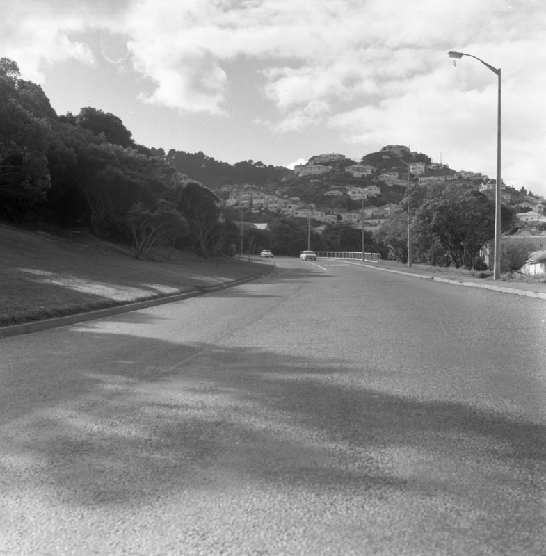 b. Traffic prosecution, Ruahine St