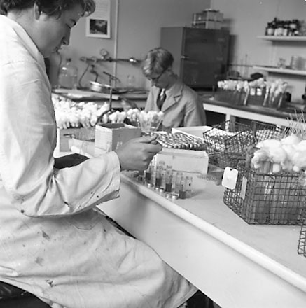 aa. Equipment, staff at work