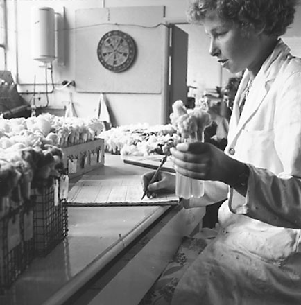 ab. Equipment, staff at work