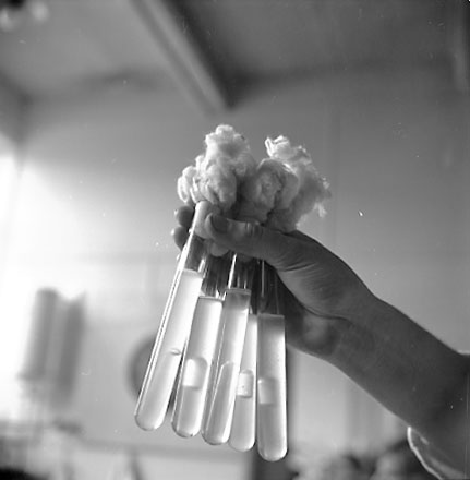 j. Interior of Laboratory at Corporation Yard