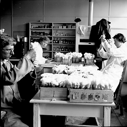 k. Equipment, staff at work