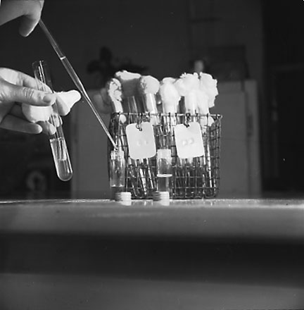 l. Interior of Laboratory at Corporation Yard