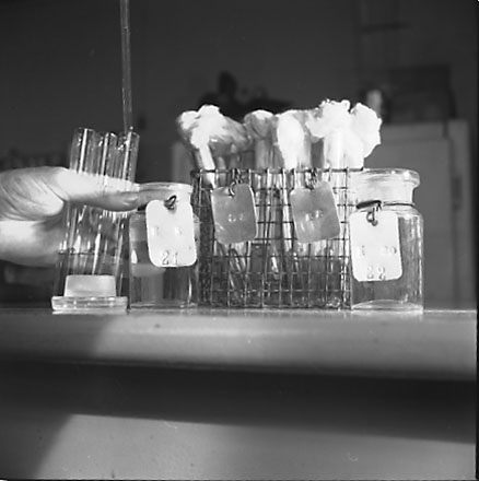 m. Interior of Laboratory at Corporation Yard