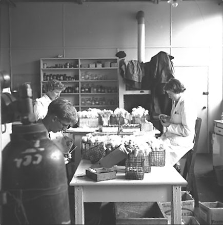 r. Equipment, staff at work