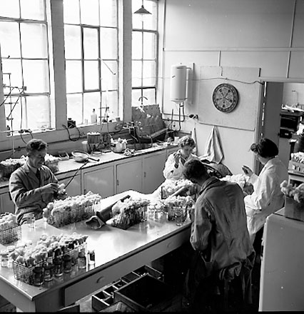 t. Equipment, staff at work