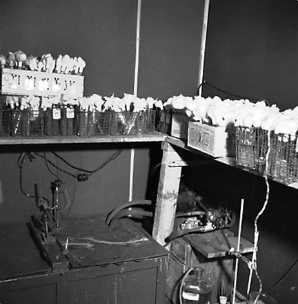 v. Interior of Laboratory at Corporation Yard