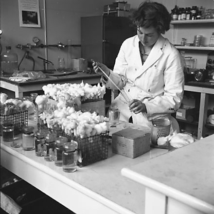 w. Equipment, staff at work