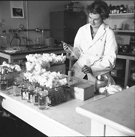 x. Equipment, staff at work