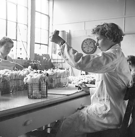 y. Equipment, staff at work