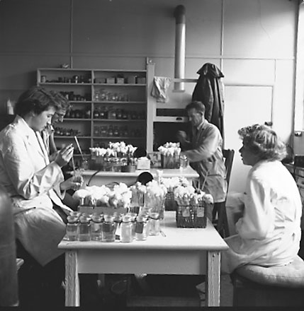 z. Equipment, staff at work