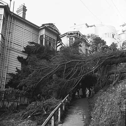 d. Views of wooden dwellings, pathways, bank covered in scub