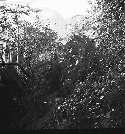 e. Views of wooden dwellings, pathways, bank covered in scub