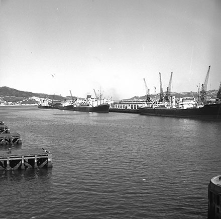 e. Floating dock, Aotea Quay