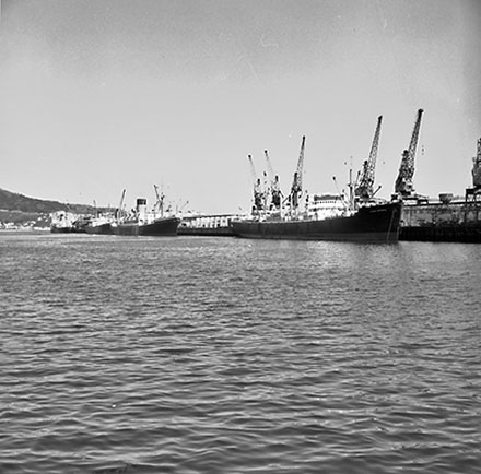f. Floating dock, Aotea Quay