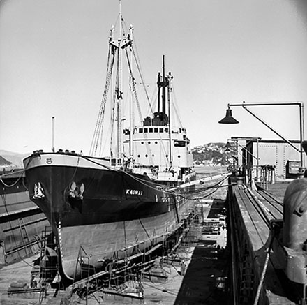 h. Floating dock, Aotea Quay