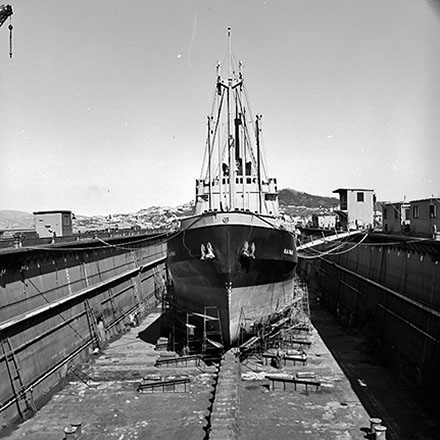 j. Floating dock, Aotea Quay