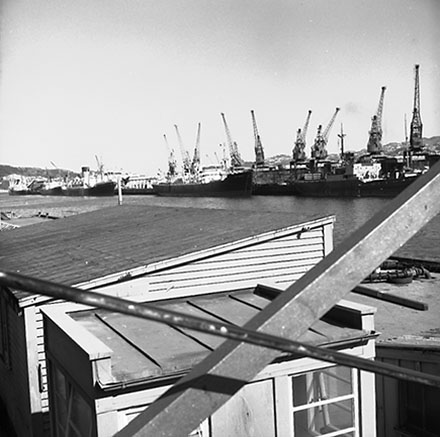 k. Floating dock, Aotea Quay