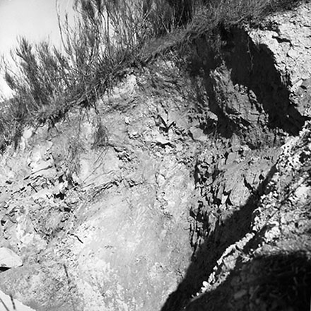 d. Slip, 75 Mills Road, Vogeltown