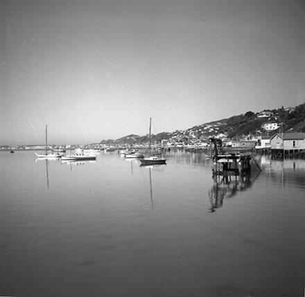 b. Marina, Evans Bay