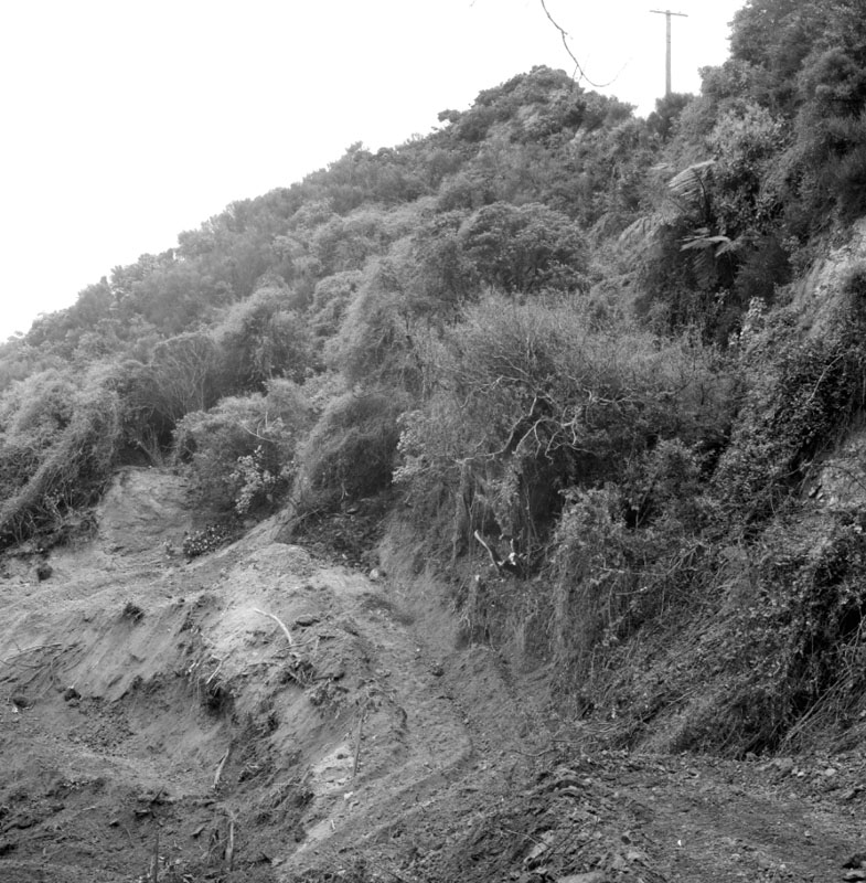 c. Slip below Birdwood Street at no 29 Chaytor Street (Williams Construction Co)