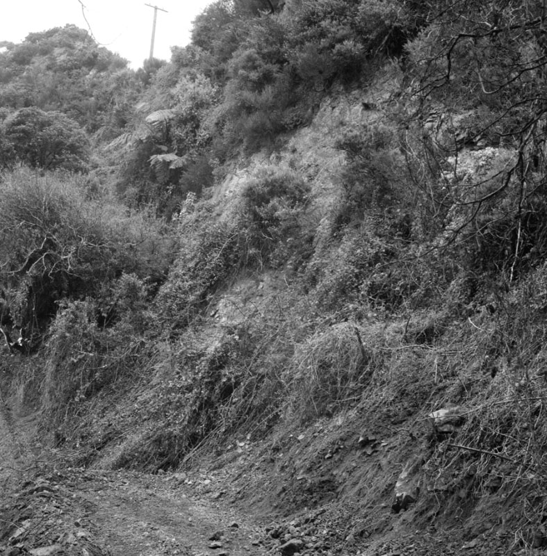 f. Slip below Birdwood Street at no 29 Chaytor Street (Williams Construction Co)