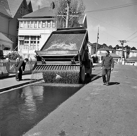 a. Road Surfacing, Ellice Street, Mount Victoria