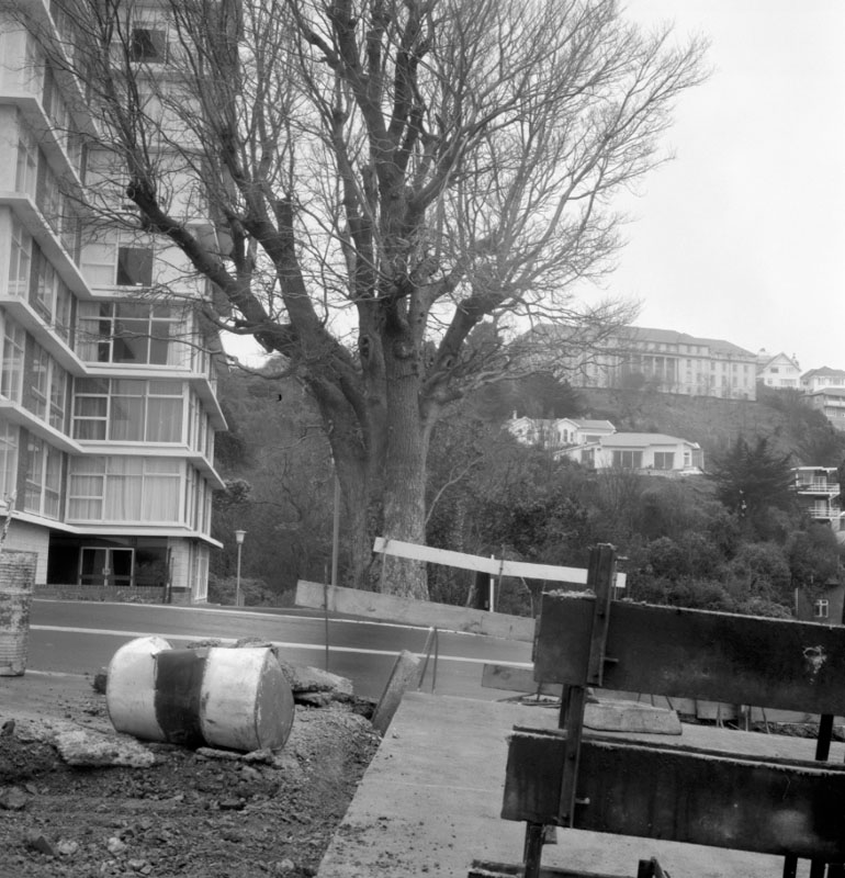 i. Brick Wall fronting The Terrace, Herbert Gardens ltd