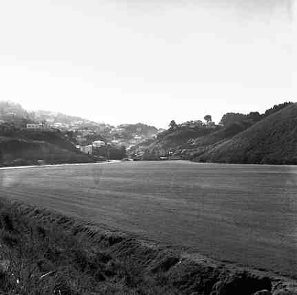 b. Views of playing fields