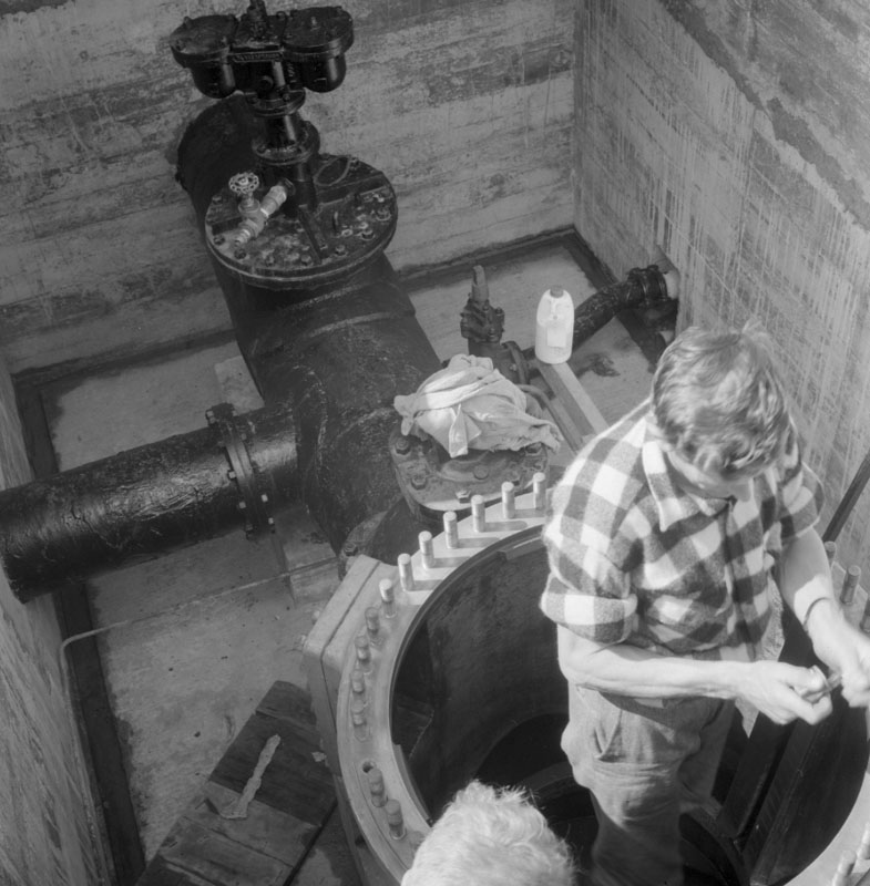 a. 24 inch Wainui Main