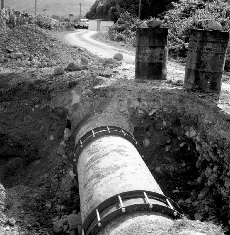 c. 24 inch Wainui Main