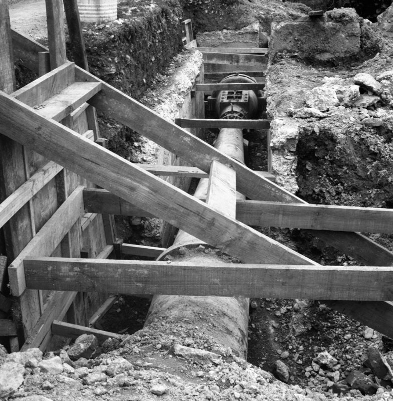 d. 24 inch Wainui Main